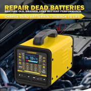 20A 12V/24V Smart Car Battery Charger & Automatic Maintainer