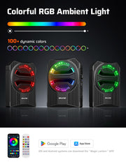 Ehaho 1000W Slim Underseat Powered Car Subwoofer