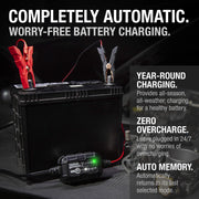 2A 6V/12V Smart Battery Charger for Lead-Acid & Lithium